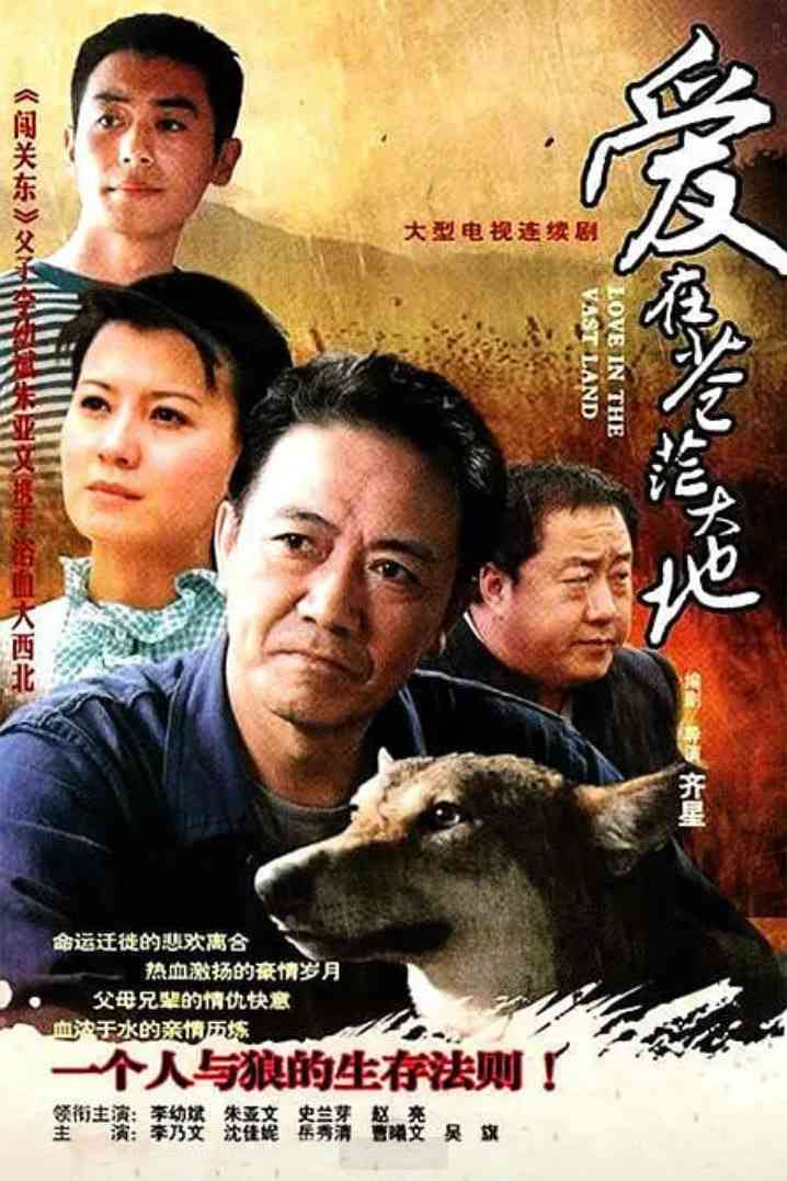 《爱在苍茫大地》全集免费高清电视剧无广告在线播放|剧情,家庭·中国大陆·2010  第1张