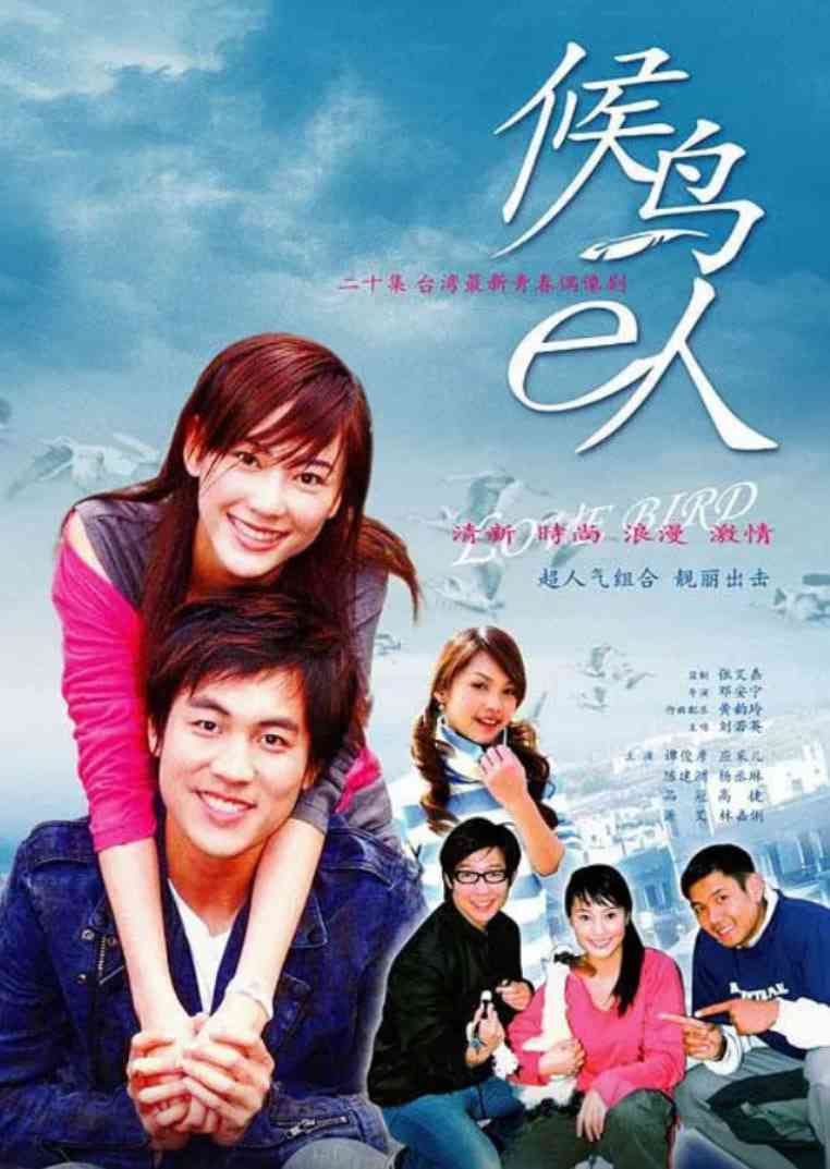 《候鸟e人》全集免费高清电视剧无广告在线播放|剧情·中国台湾·2004  第1张