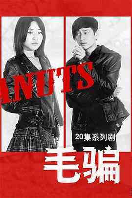 《毛骗 第一季》全集免费高清电视剧无广告在线播放|悬疑,犯罪·中国大陆·2010  第1张