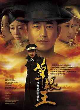 《草根王》全集免费高清电视剧无广告在线播放|古装·中国大陆·2010  第1张