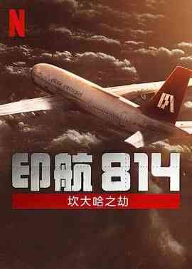 《印航814：坎大哈之劫》全集免费高清电视剧无广告在线播放|剧情,惊悚,历史·印度·2024  第1张