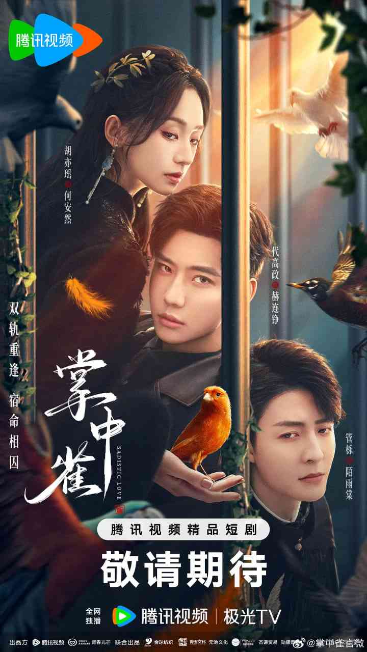 《掌中雀》全集免费高清电视剧无广告在线播放|剧情 , 爱情 短片·中国大陆·2025  第1张