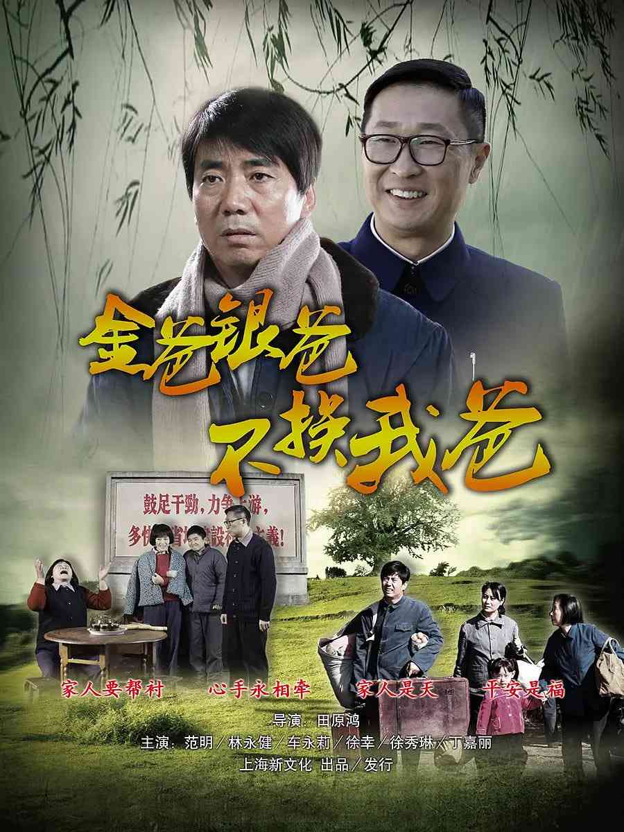 《平凡的岁月》全集免费高清电视剧无广告在线播放|剧情·中国大陆·2012  第1张
