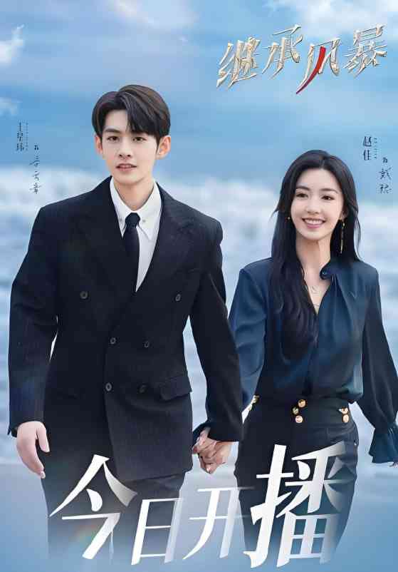 《继承风暴》全集免费高清电视剧无广告在线播放|悬疑,都市,爱情·中国大陆·2025  第1张