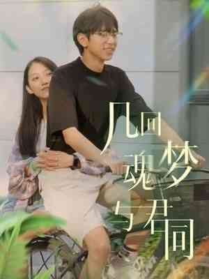 《几回魂梦与君同》全集免费高清电视剧无广告在线播放|爱情·中国大陆·2024  第1张