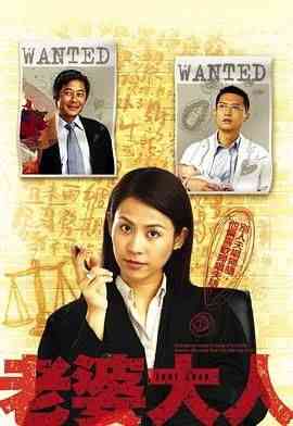 《老婆大人 普通话版》全集免费高清电视剧无广告在线播放|剧情,香港剧,港澳·中国香港·2005  第1张
