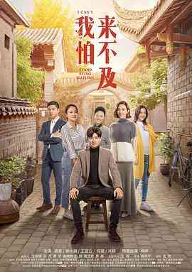 《我怕来不及》全集免费高清电视剧无广告在线播放|剧情·中国大陆·2019  第1张