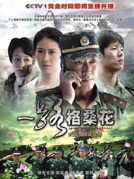《一路格桑花》全集免费高清电视剧无广告在线播放|内地,国产·中国大陆·2010  第1张
