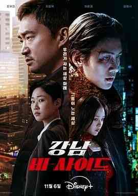 《江南重案组》全集免费高清电视剧无广告在线播放|剧情·韩国·2024  第1张