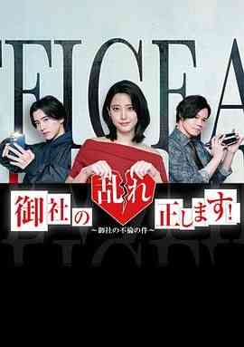 《纠正贵司的混乱》全集免费高清电视剧无广告在线播放|剧情,喜剧,日剧·日本·2024  第1张