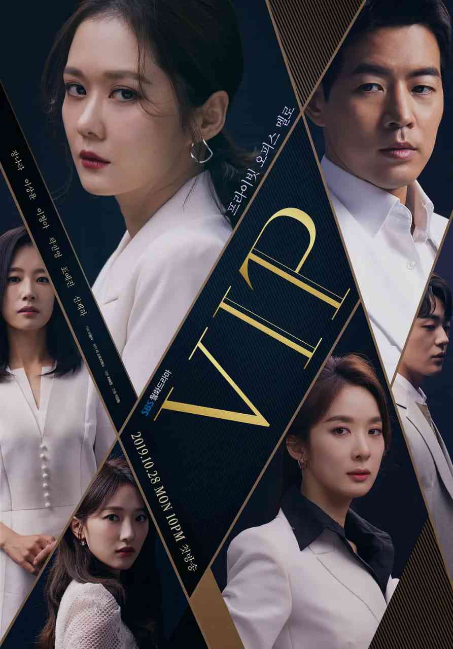 《VIP 2019》全集免费高清电视剧无广告在线播放|爱情·韩国·2019  第1张
