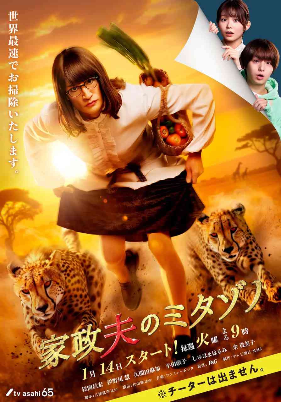 《家政夫三田园7》全集免费高清电视剧无广告在线播放|剧情·日本·2025  第1张
