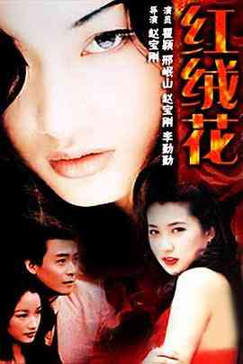 《红绒花》全集免费高清电视剧无广告在线播放|剧情,爱情·中国大陆·1995  第1张