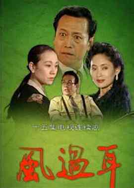 《风过耳》全集免费高清电视剧无广告在线播放|剧情,爱情·中国大陆·1994  第1张