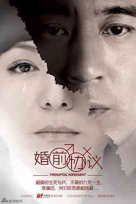 《婚前协议》全集免费高清电视剧无广告在线播放|剧情,爱情,家庭·中国大陆·2013  第1张