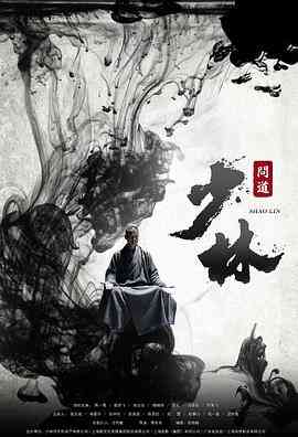 《少林问道》全集免费高清电视剧无广告在线播放|剧情,古装·中国大陆·2016  第1张