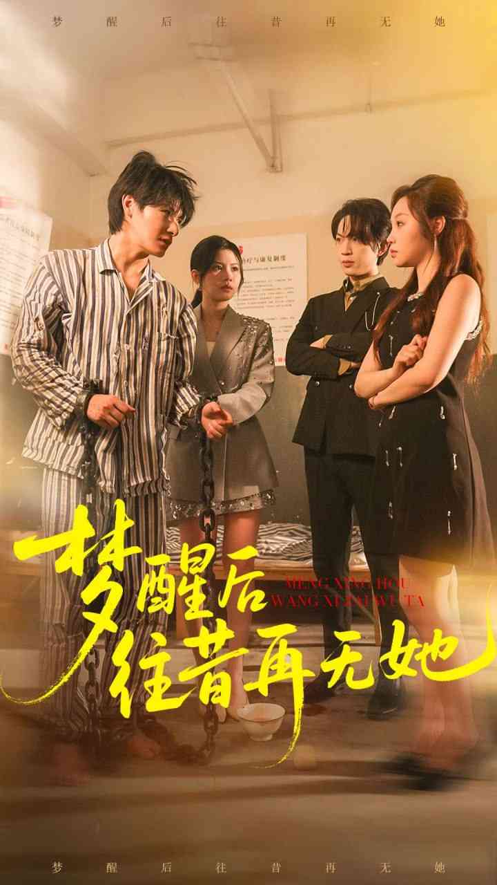 《梦醒后往昔再无她》全集免费高清短剧无广告在线播放|短剧·中国大陆·2025  第1张