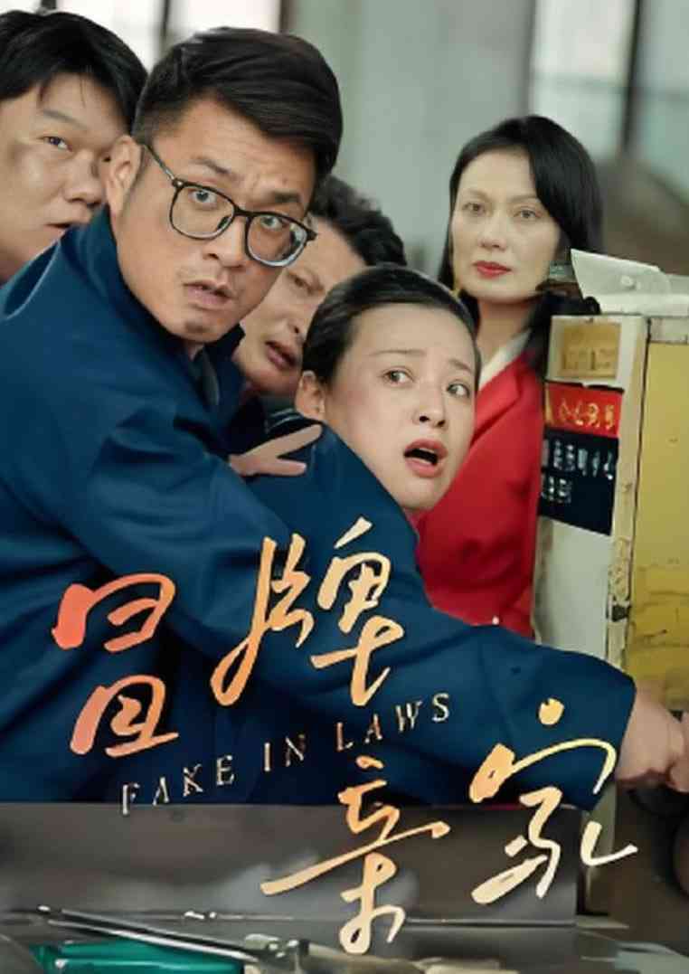 《冒牌亲家》全集免费高清短剧无广告在线播放|短剧·中国大陆·2025  第1张