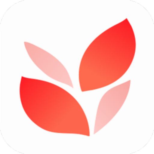 《小满壁纸在线版》软件免费下载|主题美化·1.1.3.0