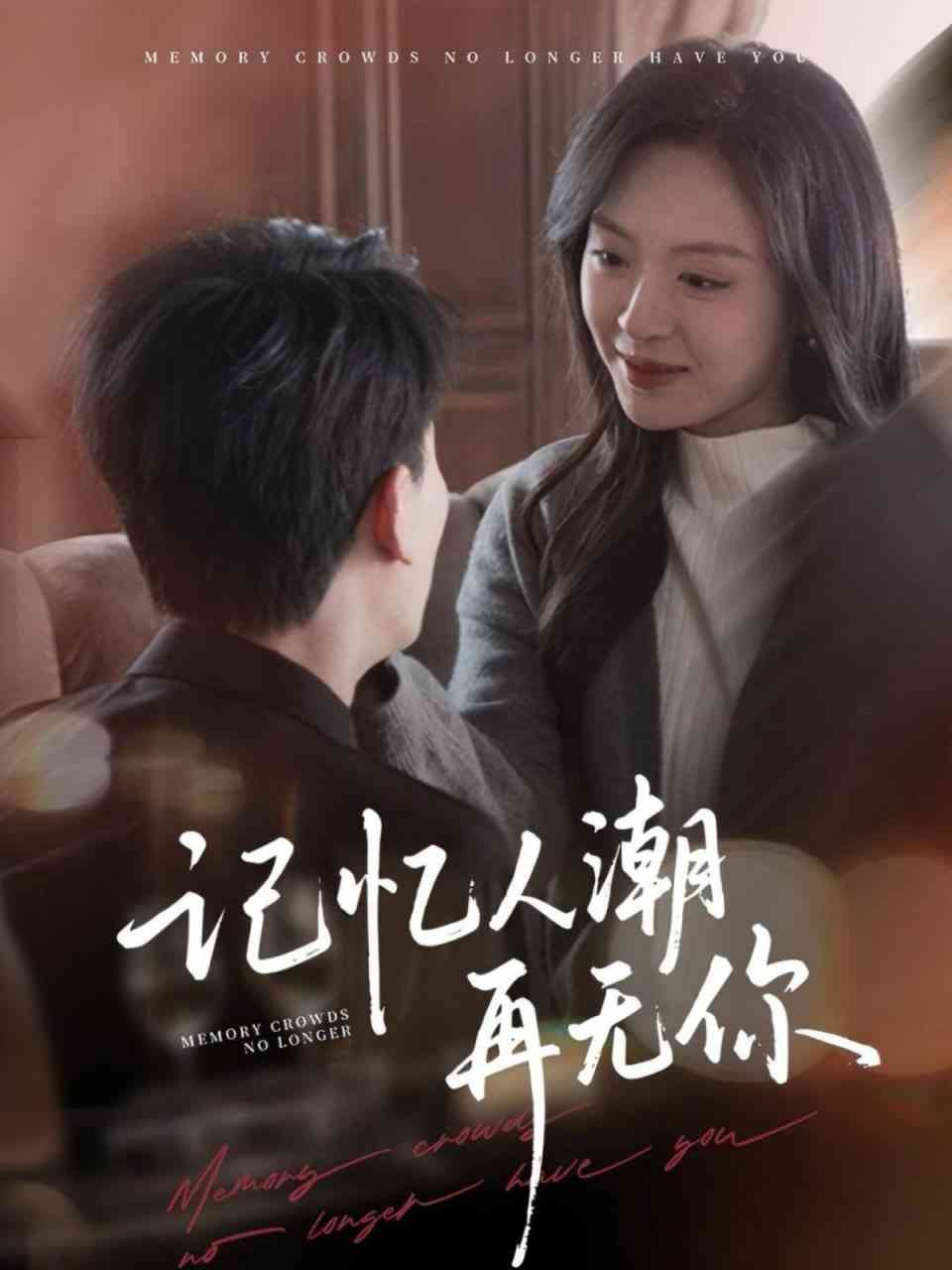 《记忆人潮再无你》全集免费高清短剧无广告在线播放|短剧·中国大陆·2025  第1张
