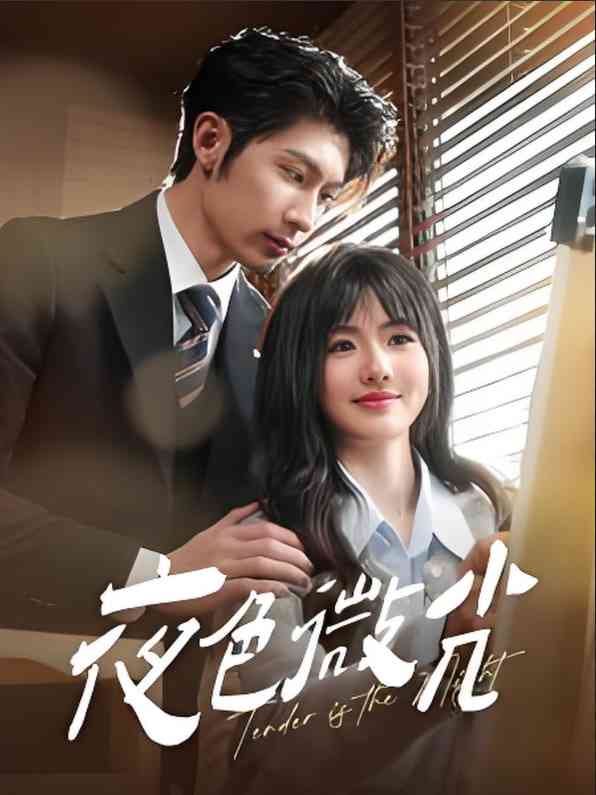 《夜色微光》全集免费高清短剧无广告在线播放|短剧·中国大陆·2025  第1张
