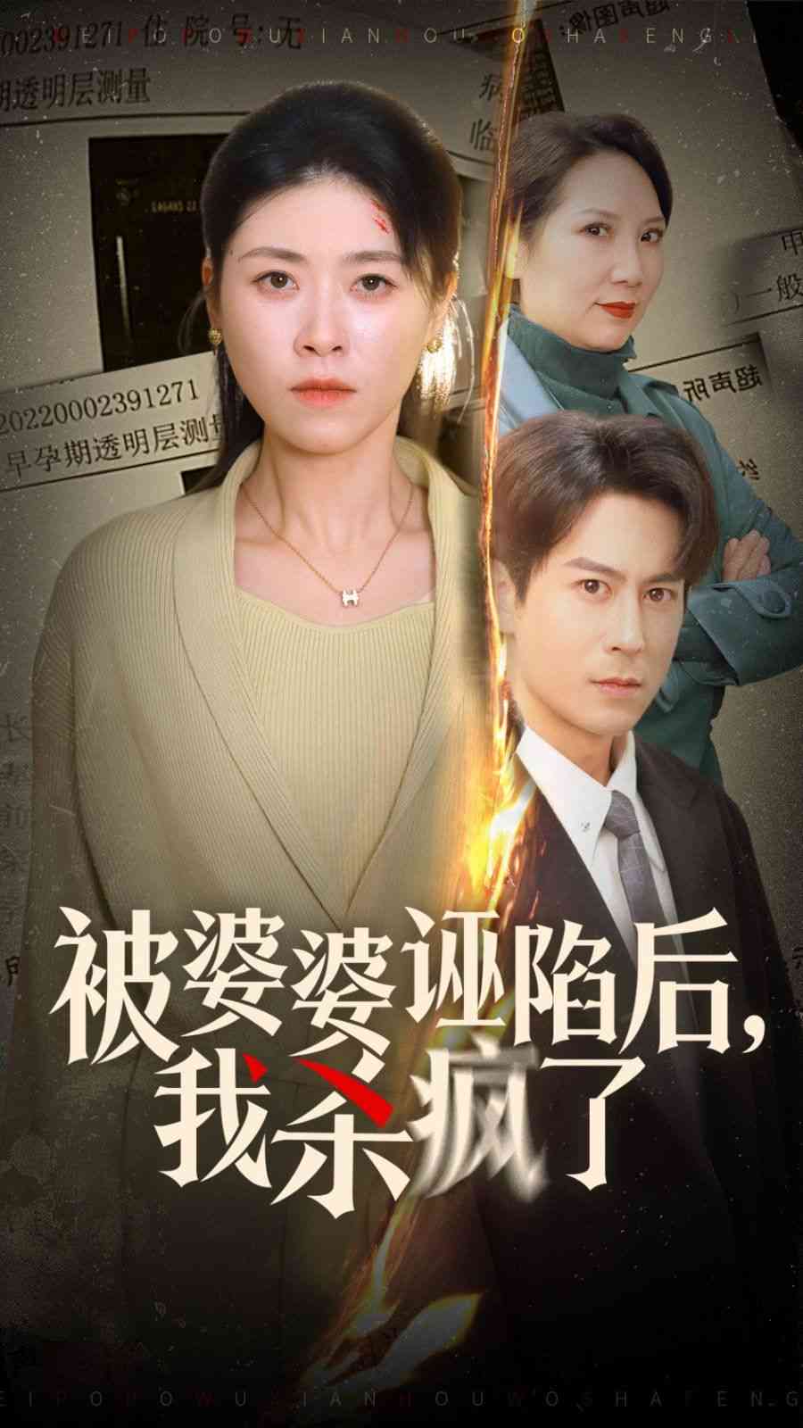 《被婆婆诬陷后我杀疯了》全集免费高清短剧无广告在线播放|短剧·中国大陆·2024  第1张