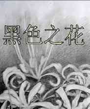 《黑色之花》简体中文免安装版》游戏免费下载|冒险游戏  第1张