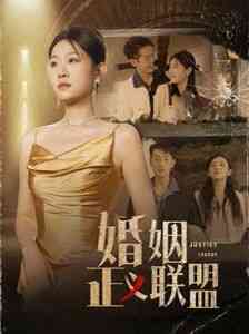 《婚姻正义联盟》全集免费高清短剧无广告在线播放|短剧·中国大陆·2024  第1张