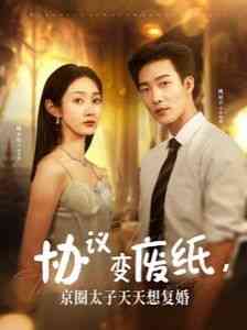 《协议变废纸，京圈太子天天想复婚》全集免费高清短剧无广告在线播放|短剧·中国大陆·2024  第1张