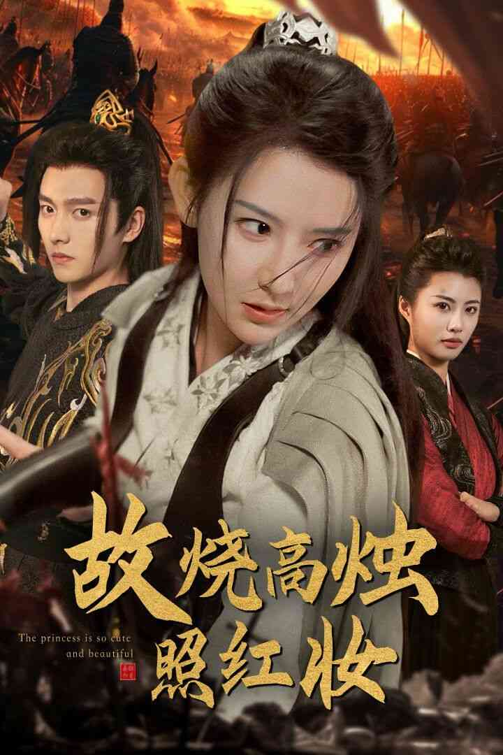 《故烧高烛照红妆》全集免费高清短剧无广告在线播放|短剧·中国大陆·2024  第1张