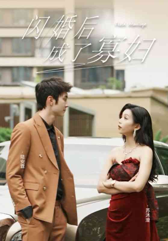 《闪婚后成了寡妇》全集免费高清短剧无广告在线播放|短剧·中国大陆·2024  第1张
