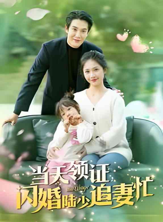 《当天领证闪婚陆少追妻忙》全集免费高清短剧无广告在线播放|短剧·中国大陆·2025  第1张