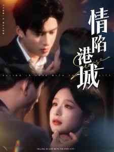 《情陷港城》全集免费高清短剧无广告在线播放|短剧·中国大陆·2025  第1张