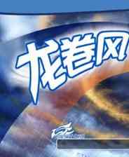 《龙卷风》 美版NDS版》游戏免费下载|动作游戏·奇幻·闯关  第1张