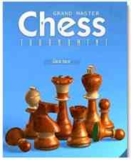 《国际象棋大师 学习的艺术》 欧版NDS版》游戏免费下载|桌面棋牌·消除·闯关·棋类  第1张