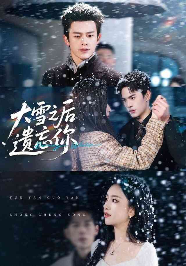 《大雪之后遗忘你》全集免费高清短剧无广告在线播放|短剧·中国大陆·2026  第1张