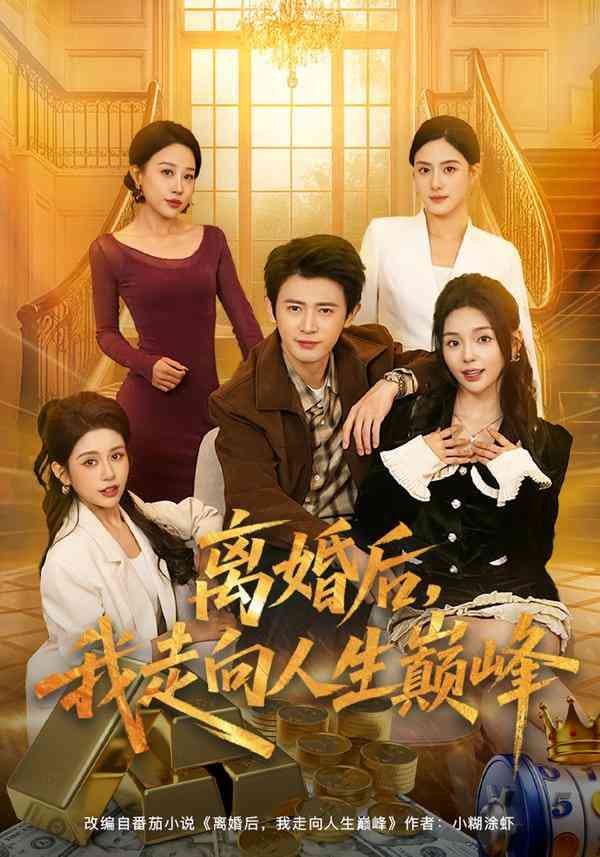 《离婚后，我走向人生巅峰》全集免费高清短剧无广告在线播放|短剧·中国大陆·2025  第1张
