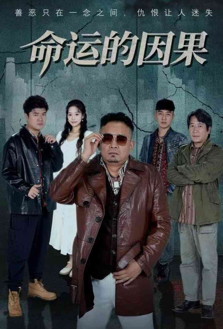 《命运的因果》全集免费高清短剧无广告在线播放|短剧·中国大陆·2025  第1张
