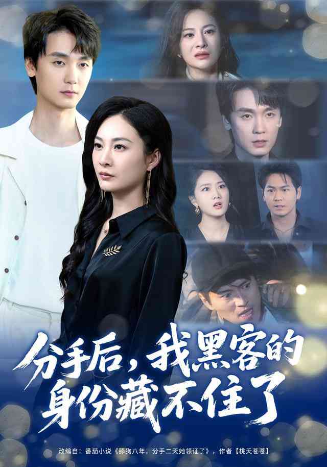 《分手后，我黑客的身份藏不住了》全集免费高清短剧无广告在线播放|短剧·中国大陆·2025  第1张