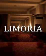 《Limoria》官方正版》游戏免费下载|冒险游戏·探险·惊悚·心理恐怖  第1张
