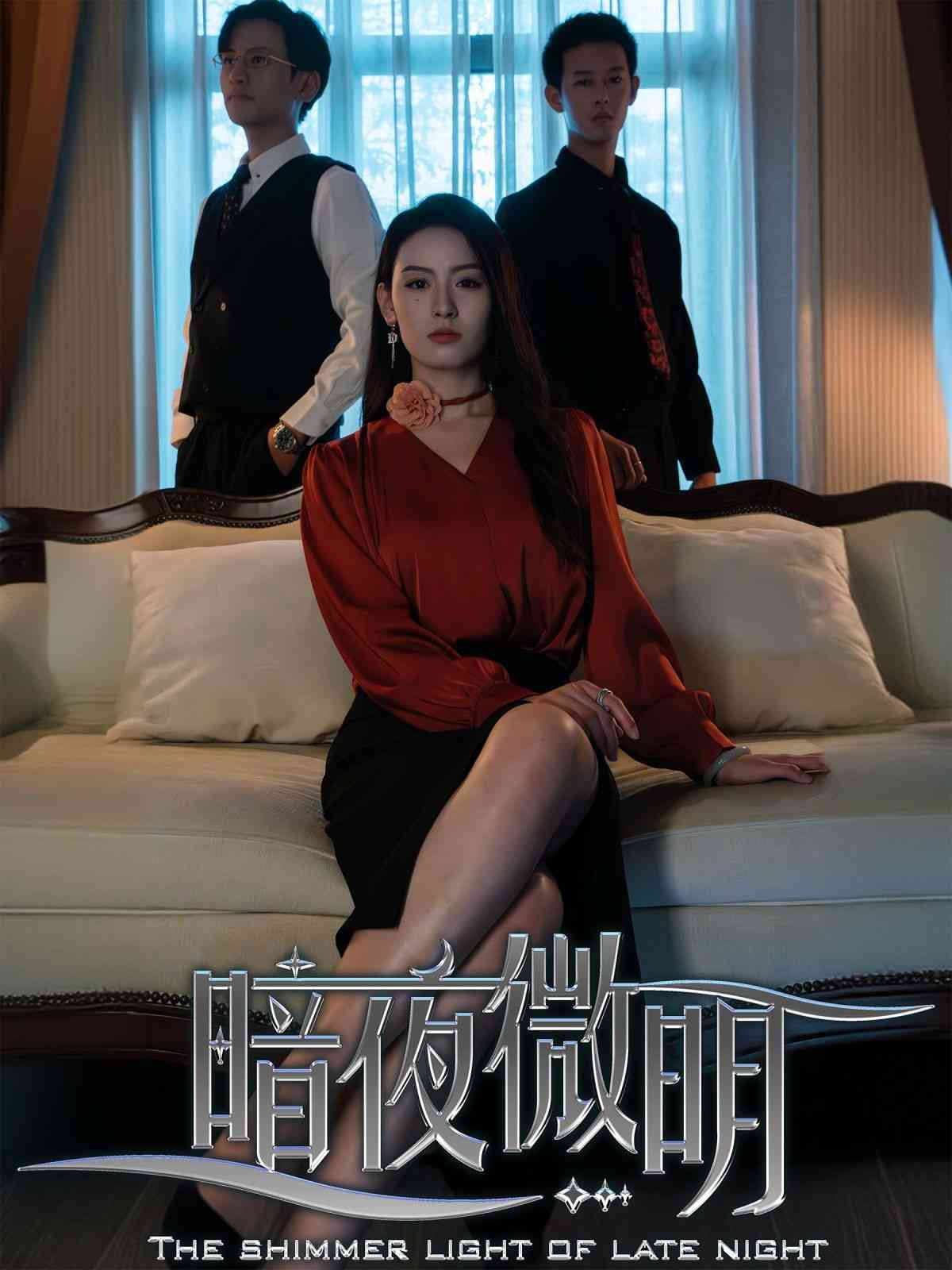《暗夜微明》全集免费高清短剧无广告在线播放|短剧·中国大陆·2024  第1张