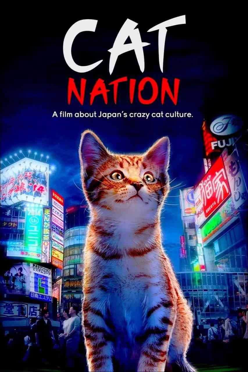 《猫咪国度》最新免费高清电影无广告在线播放|纪录片·澳大利亚·2017  第1张