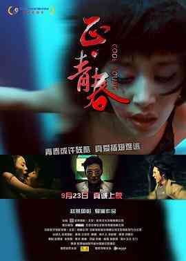 《正·青春2011》最新免费高清电影无广告在线播放|剧情·中国大陆·2011  第1张