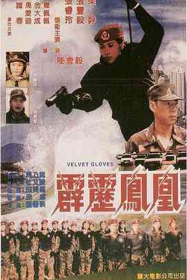 《霹雳凤凰》最新免费高清电影无广告在线播放|动作·中国大陆·1996  第1张