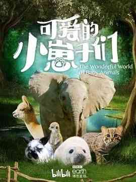 《可爱的小崽子们 中文版》最新免费高清电影无广告在线播放|纪录片,纪录·英国·2019  第1张