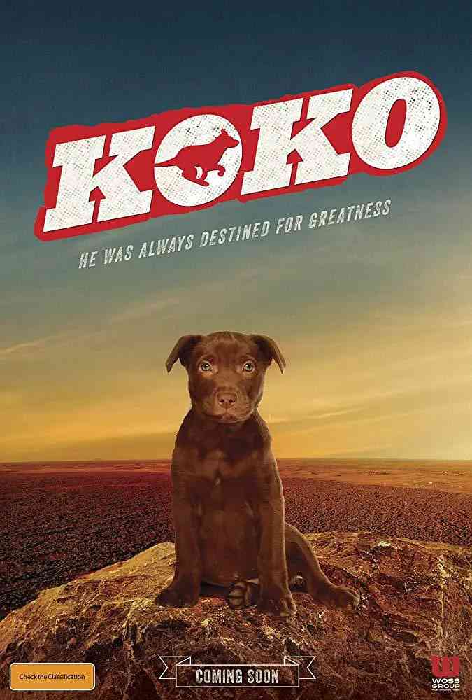 《Koko:红犬历险记》最新免费高清电影无广告在线播放|喜剧,传记·美国·2019  第1张