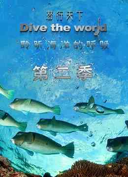 《潜行天下 第二季》最新免费高清电影无广告在线播放|纪录·大陆·2020  第1张