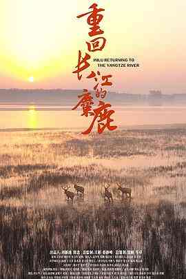 《重回长江的麋鹿》最新免费高清电影无广告在线播放|纪录片,纪录·中国大陆·2020  第1张