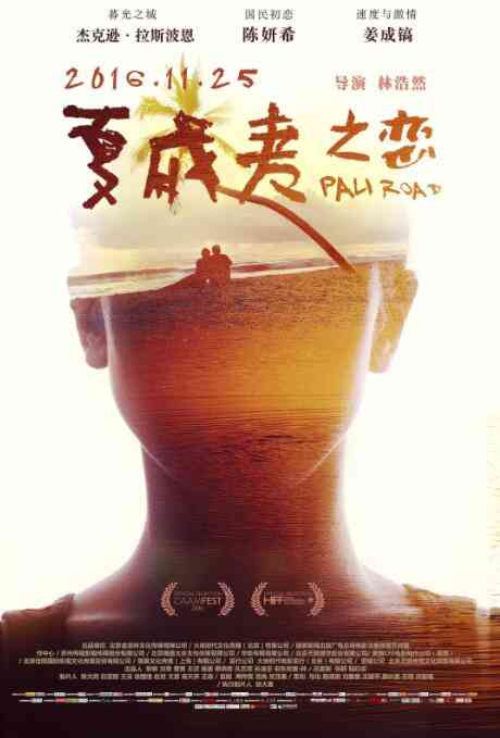 《夏威夷之恋》最新免费高清电影无广告在线播放|爱情·美国·2016  第1张