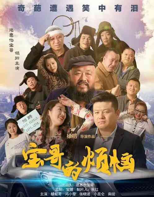 《宝哥的烦恼》最新免费高清电影无广告在线播放|剧情·中国大陆·2019  第1张